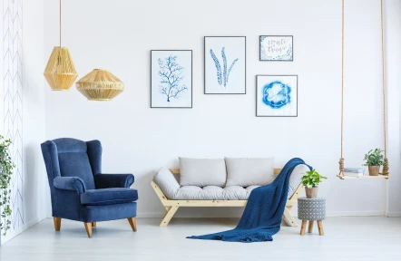Interior Solid Paints